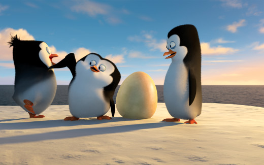 884775 (a): :2560x1600
